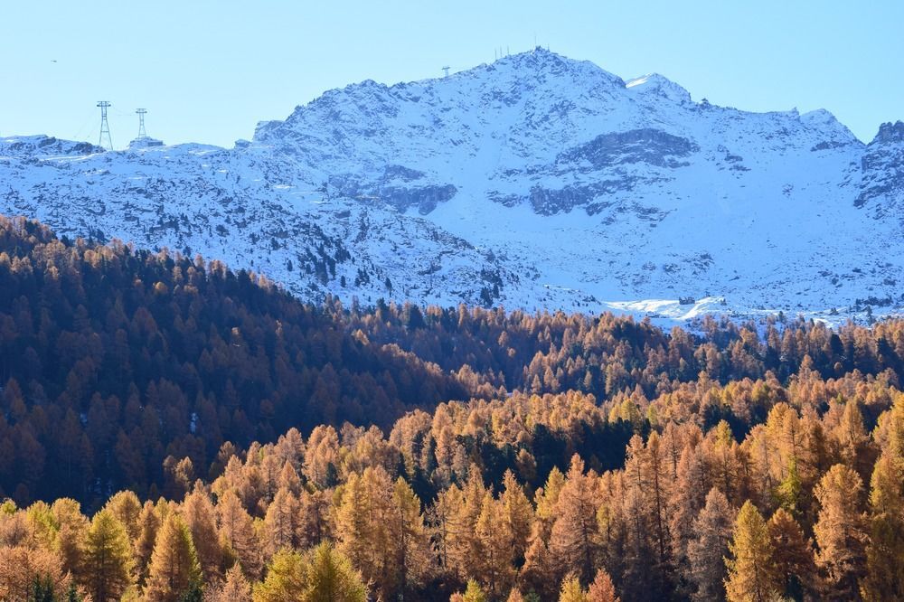 Hotel Salastrains St. Moritz Exterior foto